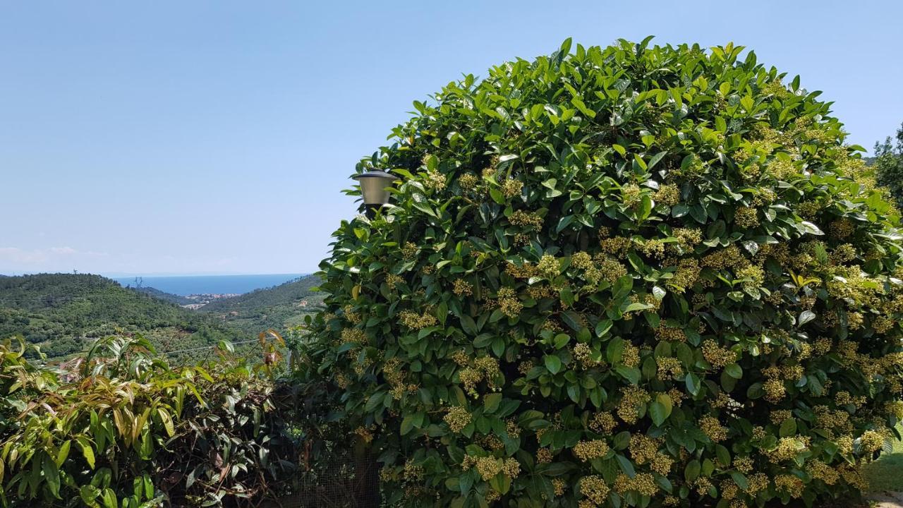 Villa Claudia Quiliano Bagian luar foto