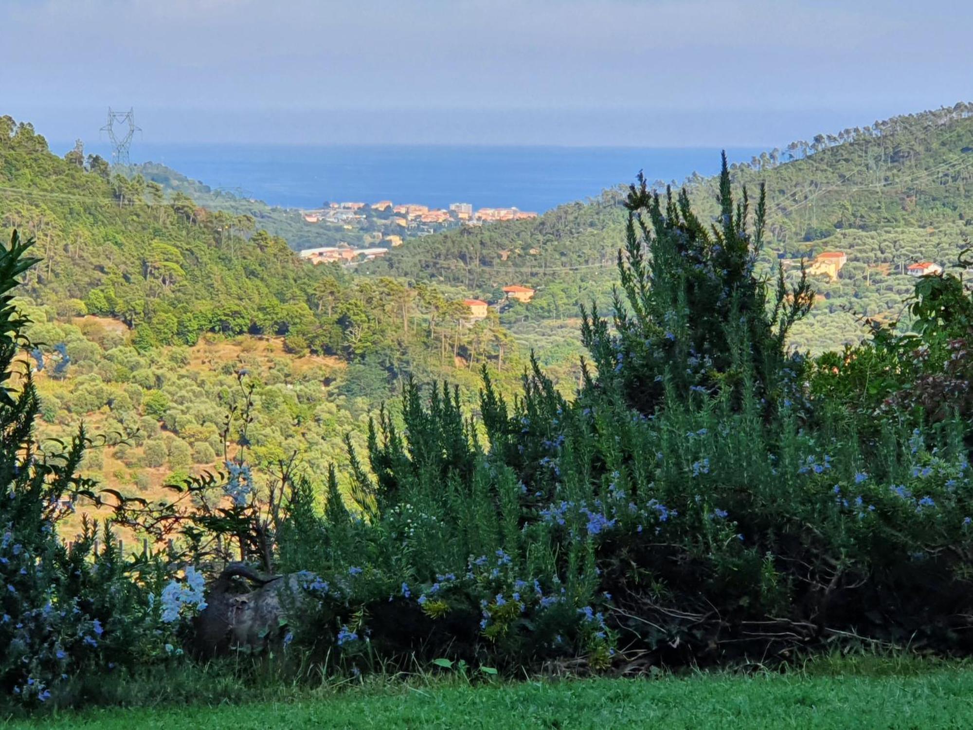 Villa Claudia Quiliano Bagian luar foto