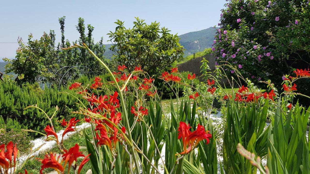 Villa Claudia Quiliano Bagian luar foto